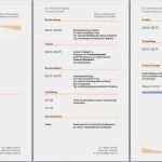 Lebenslauf Kostenlose Word Vorlage Best Of Professioneller Lebenslauf Vorlage – Vorlagen 1001