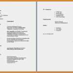 Lebenslauf Kostenlose Word Vorlage Einzigartig 7 Lebenslauf Kostenlose Vorlage Word