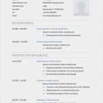 Lebenslauf Krankenpfleger Vorlage Neu Bewerbungsmuster Krankenpfleger