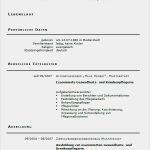 Lebenslauf Krankenpfleger Vorlage Schönste Bewerbung Gesundheitspfleger Und Krankenpfleger