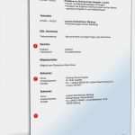 Lebenslauf Krankenpfleger Vorlage Süß Lebenslauf Krankenpfleger