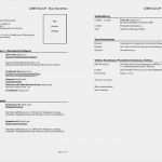 Lebenslauf Kurz Vorlage Cool Bewerbungsschreiben Muster Bewerbungsschreiben Young