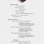 Lebenslauf Kurz Vorlage Fabelhaft Lebenslauf 2018 Meinebewerbung