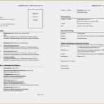 Lebenslauf Kurz Vorlage Großartig [kurzvita Muster] 73 Images 114 Lebenslauf Muster