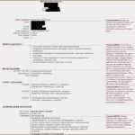 Lebenslauf Latex Vorlage Neu 5 Lebenslauf Berater Vorlagen123 Vorlagen123