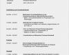 Lebenslauf Maler Und Lackierer Vorlagen Bewundernswert Bewerbung Und Lebenslauf Maler Vorlagen Zum Download