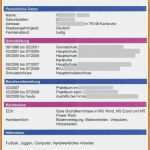 Lebenslauf Maler Und Lackierer Vorlagen Großartig 11 Lebenslauf Maler Und Lackierer