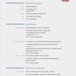 Lebenslauf Maler Und Lackierer Vorlagen Hübsch Lebenslauf Mohamed Ibrahim 3