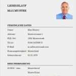 Lebenslauf Manager Vorlage Cool Professioneller Lebenslauf Vorlage Kostenlos Lebenslauf