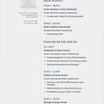 Lebenslauf Manager Vorlage Genial Lebenslauf Muster Für Manager