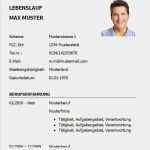 Lebenslauf Manager Vorlage Gut Lebenslauf Aufbau Muster Lebenslauf Beispiel
