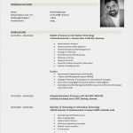 Lebenslauf Manager Vorlage Neu Lebenslauf