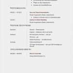 Lebenslauf Manager Vorlage Süß Lebenslauf Muster Vorlage Manager 2