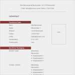 Lebenslauf Modern Vorlage Word Best Of 52 Best Images About Lebenslauf Muster & Vorlagen On Pinterest