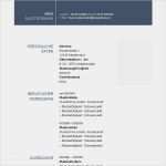 Lebenslauf Modern Vorlage Word Cool 52 Best Images About Lebenslauf Muster & Vorlagen On