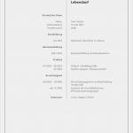 Lebenslauf Muster Vorlage Kostenlos Download Inspiration Bewerbung Kostenlose Vorlage Deckblatt
