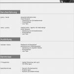 Lebenslauf Muster Vorlage Kostenlos Erstaunlich Lebenslauf Muster 3 Grau Kostenlos En
