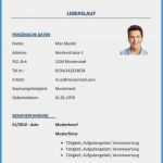Lebenslauf Muster Vorlage Kostenlos Fabelhaft 15 2017 Bis Dato Lebenslauf