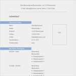 Lebenslauf Muster Vorlage Kostenlos Neu Vorlage 47 Tabellarischer Lebenslauf