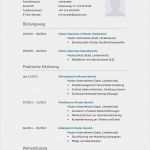 Lebenslauf Odt Vorlage Cool Lebenslauf Muster Pdf