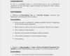 Lebenslauf Odt Vorlage Erstaunlich Cv Doc Odt
