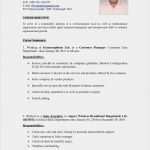 Lebenslauf Odt Vorlage Erstaunlich Cv Doc Odt