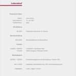 Lebenslauf Ohne Foto Vorlage Einzigartig 20 Lebenslauf Vorlage Ohne Foto