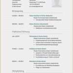 Lebenslauf Ohne Foto Vorlage Erstaunlich 10 Lebenslauf Ohne Foto