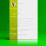 Lebenslauf Ohne Foto Vorlage Genial Tabellarischer Lebenslauf Vorlage Word Zum Herunterladen