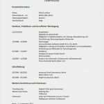 Lebenslauf Ohne Foto Vorlage Hübsch 15 Tabellarischer Lebenslauf Ohne Foto Vorlage Oppy Music