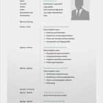 Lebenslauf Openoffice Vorlage Kostenlos Erstaunlich Lebenslauf Muster 8 Moderne Bewerbungsvorlage Word