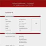 Lebenslauf Openoffice Vorlage Kostenlos Großartig Lebenslauf Vorlage Openoffice Kostenlos – Vorlagen 1001