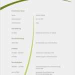 Lebenslauf Openoffice Vorlage Kostenlos Hübsch Eu Lebenslauf Ohne Foto Muster Lebenslauf Vorlage Ohne