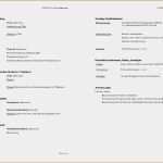 Lebenslauf Planet Beruf Vorlage Elegant 15 Lebenslauf Beruf Vorlagen123 Vorlagen123