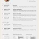 Lebenslauf Planet Beruf Vorlage Genial 15 Lebenslauf Beruf Vorlagen123 Vorlagen123