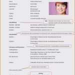 Lebenslauf Praktikum Student Vorlage Angenehm 16 Lebenslauf Praktikum Student Muster