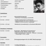 Lebenslauf Praktikum Student Vorlage Bewundernswert atemberaubend Es Praktikum Lebenslauf Vorlage Ideen