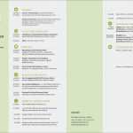 Lebenslauf Praktikum Student Vorlage Cool Lebenslauf Praktikum Mit Beispielen