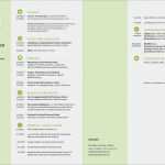 Lebenslauf Praktikum Student Vorlage Erstaunlich Lebenslauf Vorlage Student Praktikum Süß Lebenslauf