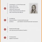 Lebenslauf Schreiben Vorlage Schüler Süß 15 Muster Lebenslauf Schüler
