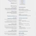 Lebenslauf Schriftlich Vorlage Erstaunlich Lebenslauf Muster Für Schriftsteller