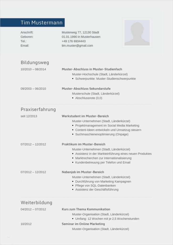 Lebenslauf Schriftlich Vorlage Neu Lebenslauf Muster Für Informatiker