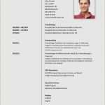 Lebenslauf Schülerpraktikum Vorlage Download Luxus Lebenslauf Vorlage Kostenlos Download Best 7 Lebenslauf