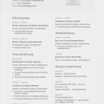 Lebenslauf Schülerpraktikum Vorlage Download Süß Lebenslauf Muster Für Ingenieur