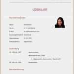 Lebenslauf Student Vorlage Best Of 17 Muster Lebenslauf Ausbildung Vorlagen123 Vorlagen123