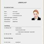 Lebenslauf Student Vorlage Erstaunlich 10 Lebenslauf Modern Vorlagen123 Vorlagen123