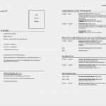 Lebenslauf Student Vorlage Großartig Lebenslauf Vorlagen Headhunter100