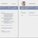 Lebenslauf Student Vorlage Word Beste Lebenslauf Und Motivationsschreiben Vorlage Berufstätige