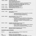 Lebenslauf Studium Vorlage Einzigartig Lebenslauf Beispiele Und Vorlagen Zum Download