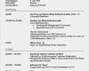 Lebenslauf Studium Vorlage Erstaunlich Tabellarischer Lebenslauf Beispiel